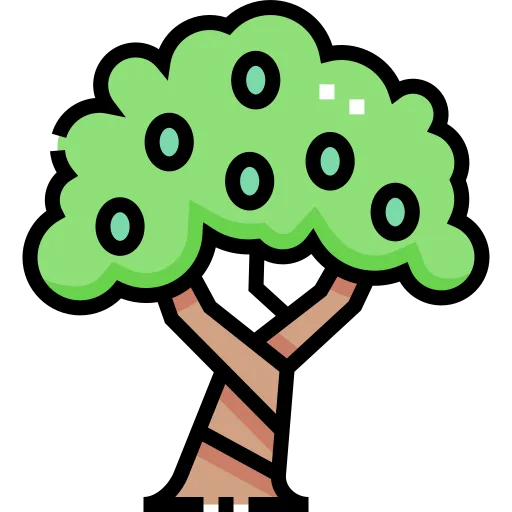 zeytin agaci olive tree